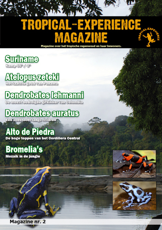 Tropical-Experience Magazine Nr.2 (M. & E.H. Bartelds)