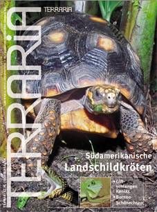 TERRARIA Nr. 7 Titelthema 'Südamerikanische Landschildkröten'