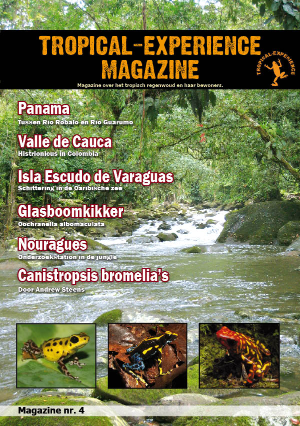 Tropical-Experience Magazine Nr.4 (M. & E.H. Bartelds)