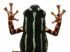 Ranitomeya aquamarina