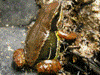 image01