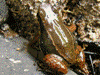 image01