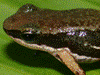 image01