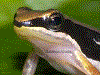 image01