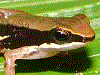 image01