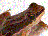 image01