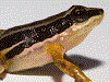 image01