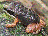 image01