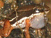 image01