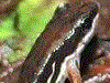 image01