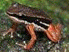 image01