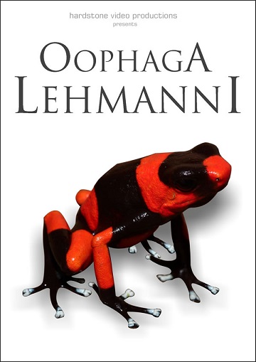 Oophaga lehmanni